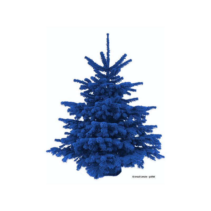Sapin bleu prix